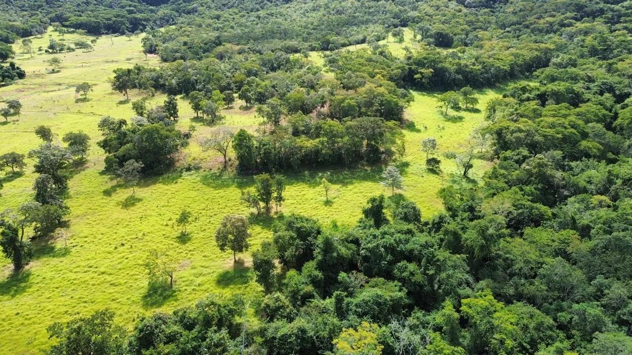 Fazenda dupla aptidão  - Foto 3