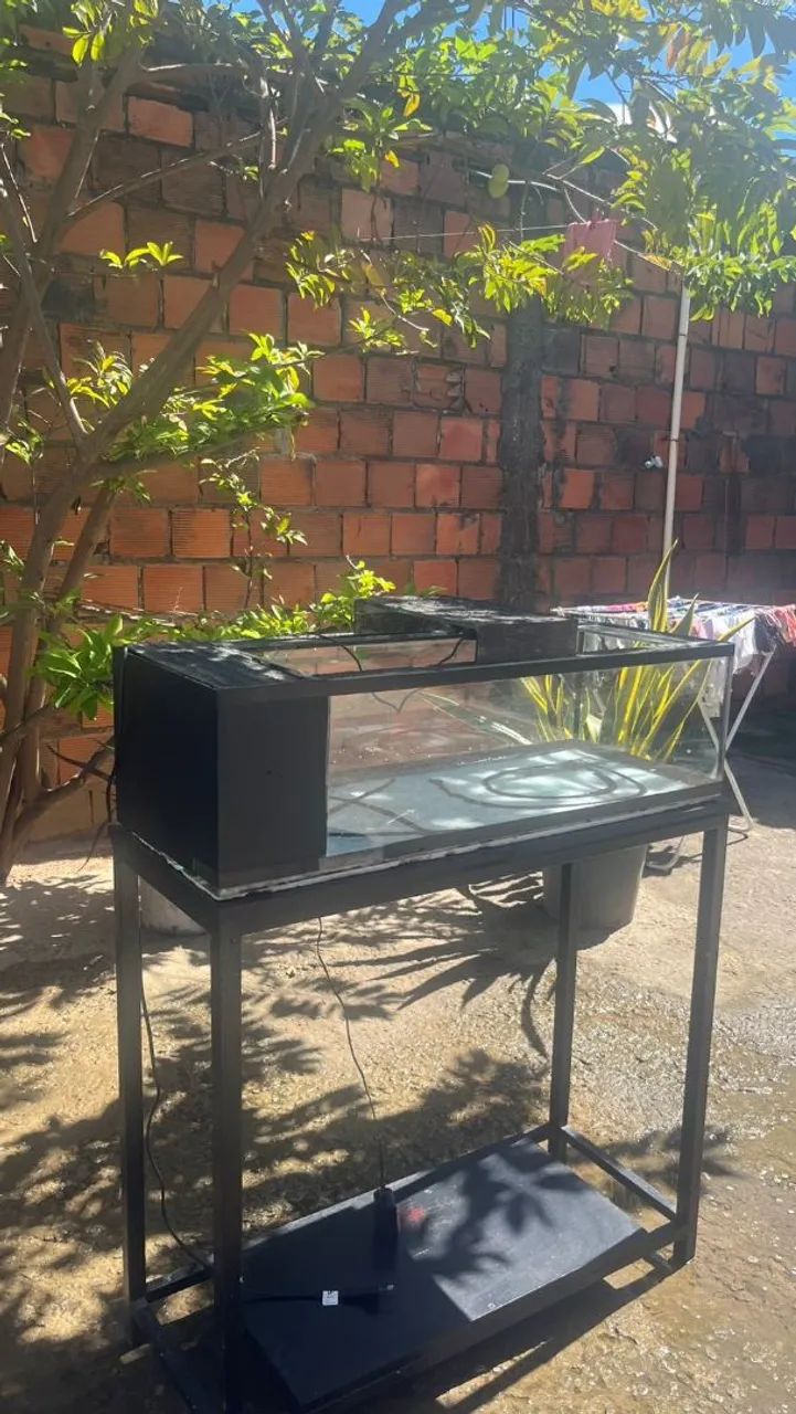 Aquário de 50L
