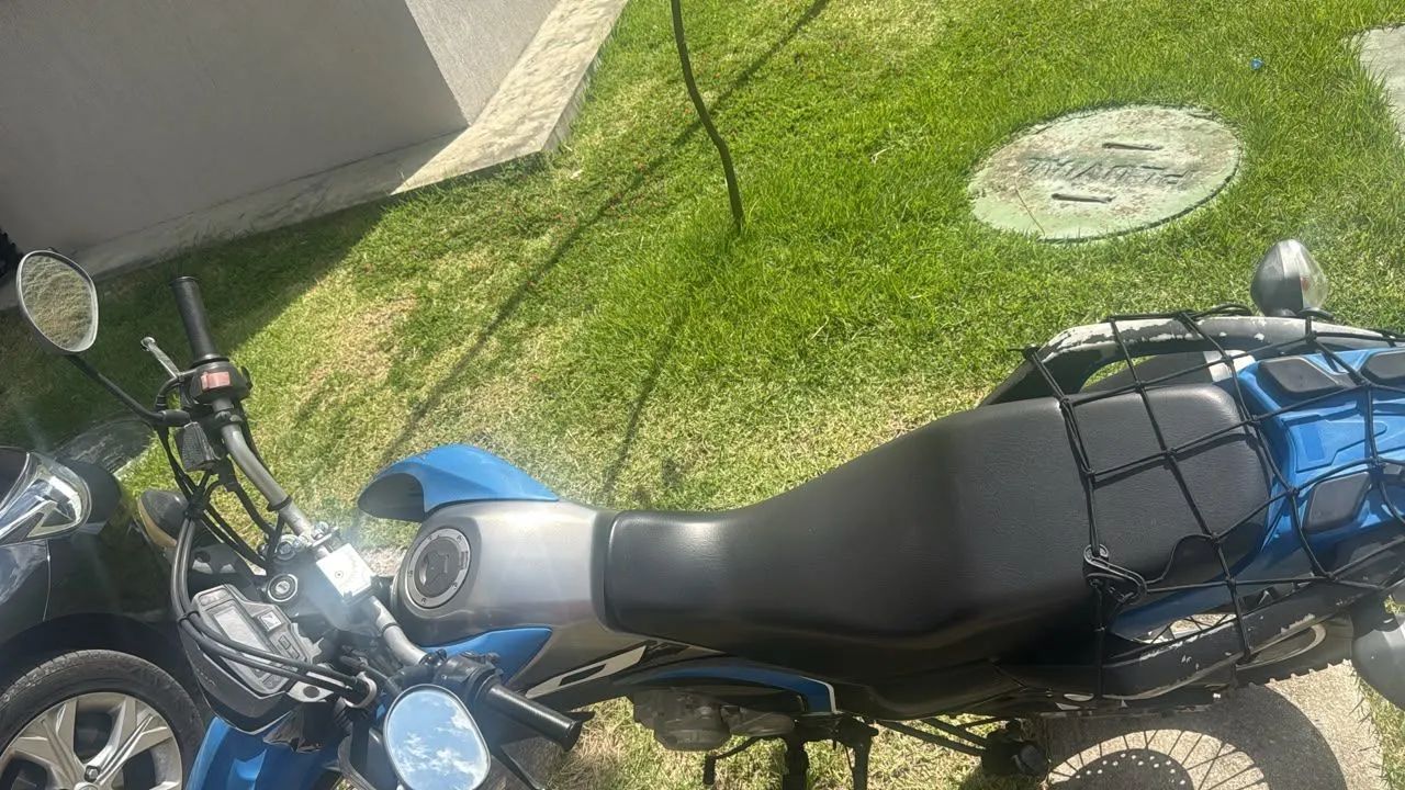 Broz 2021 de procedência  - Foto 3