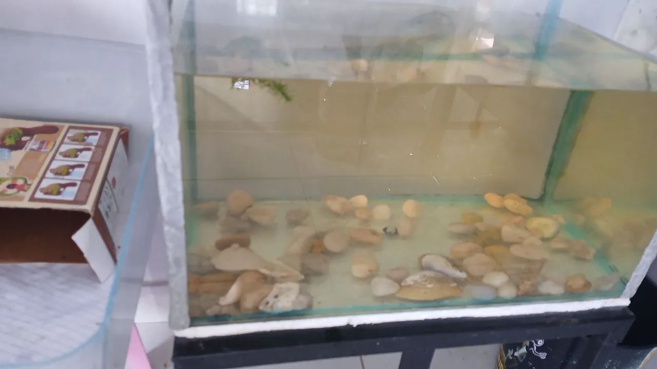 Aquario 27Litros - Foto 2