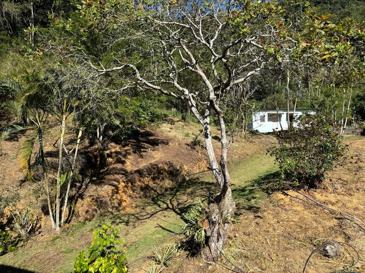 Chácara Uma Floresta - Foto 5