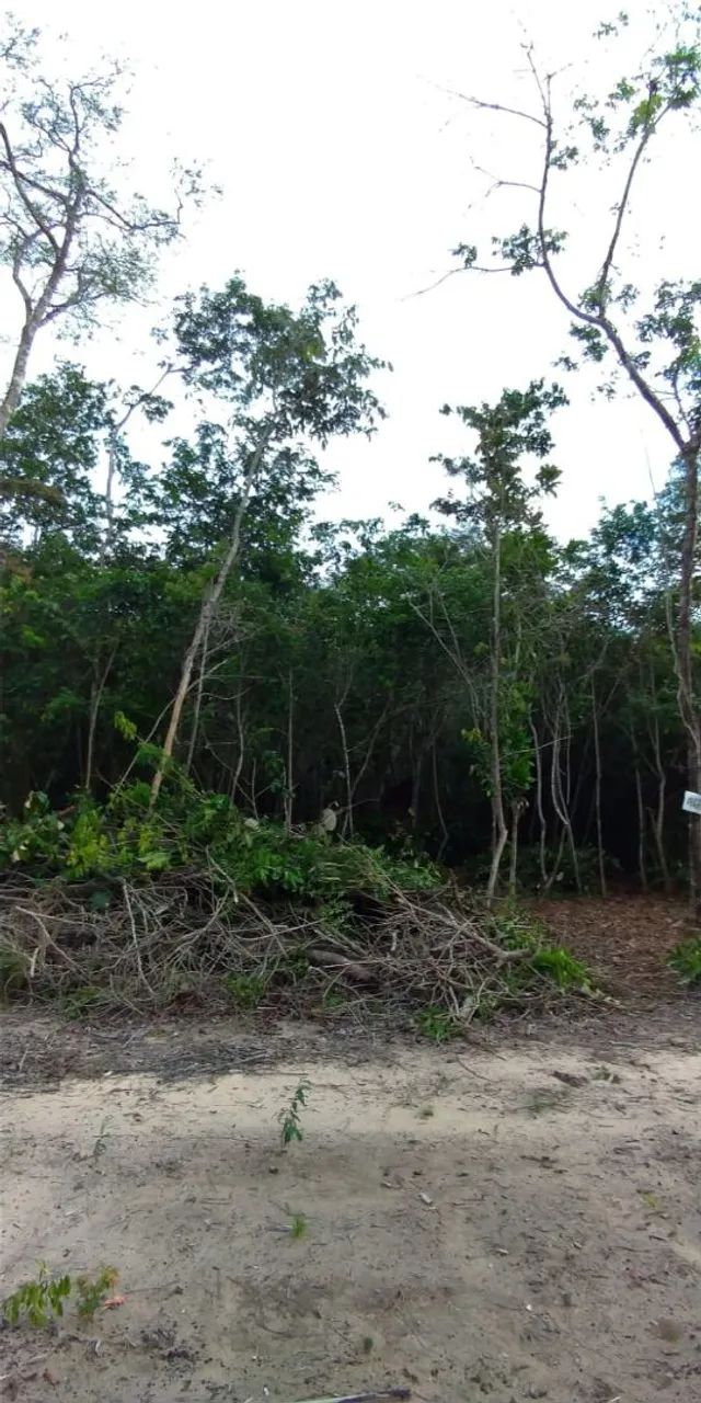 OPORTUNIDADE TERRENO NO PAJUÇARA  - Foto 3