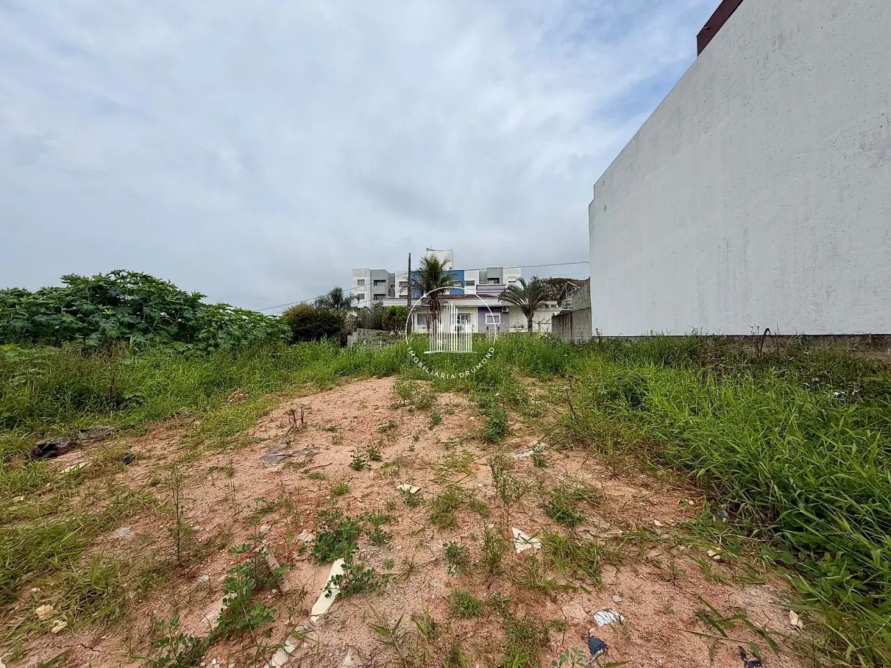 Terreno 362m² - Serraria - JMS - Foto 4