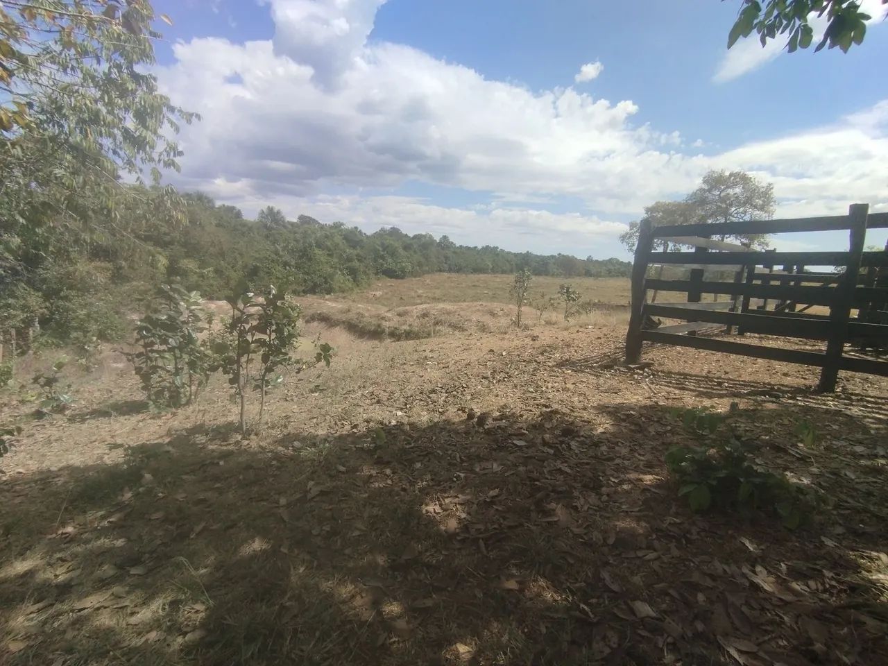Chácara  - Foto 3
