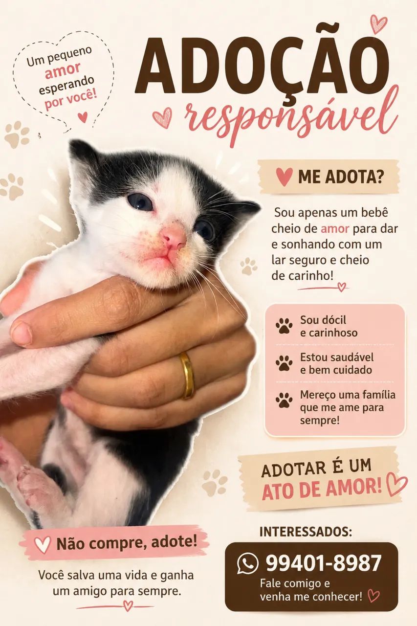 Adoção  - Foto 2