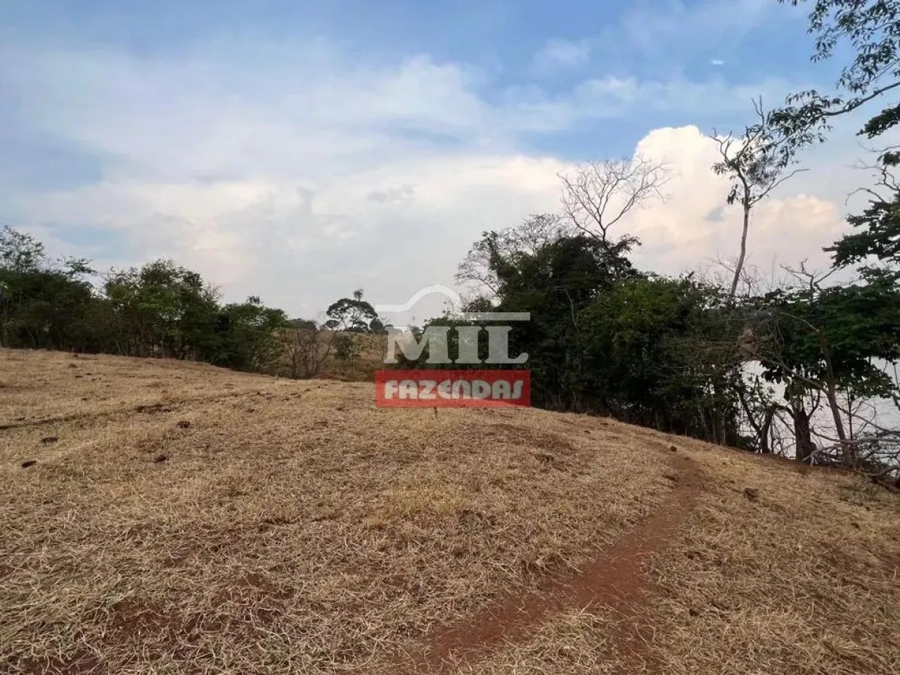 Chácara 5 Alqueires (24,2 Hectares) Brazabantes - GO