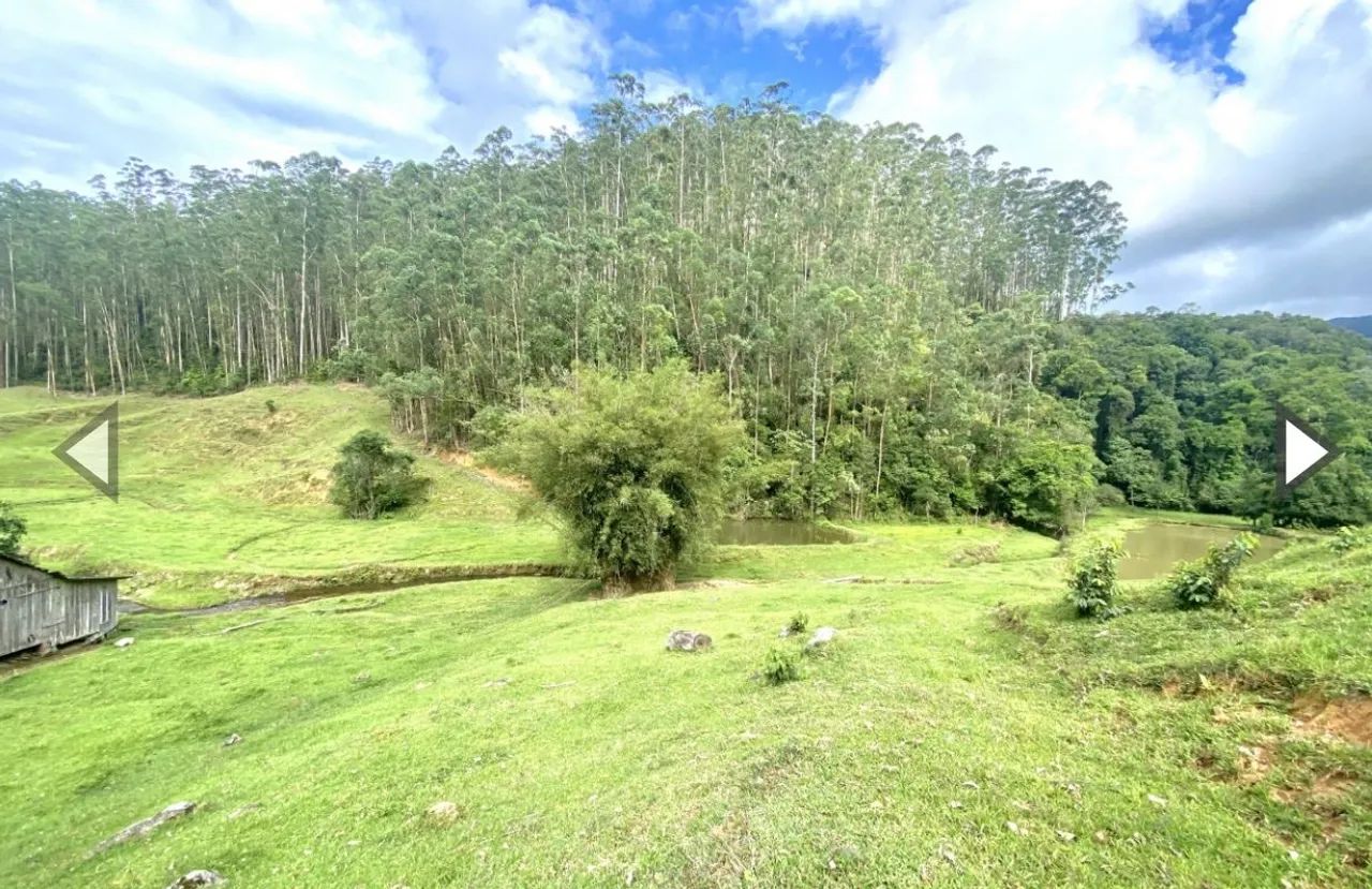 Linda área rural com 82 hectares em Vidal Ramos (SC) - Foto 5