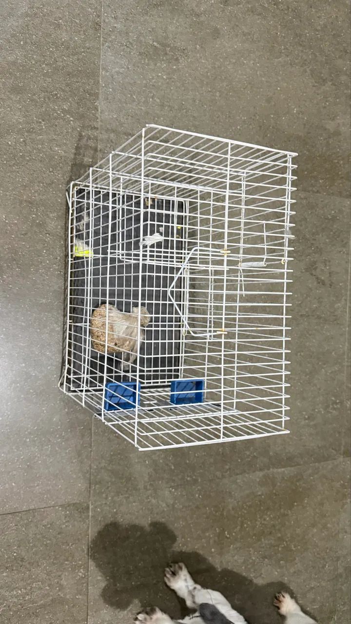 Gaiola para pássaro - Foto 3