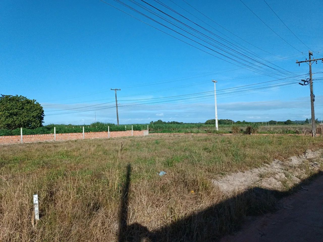 Lotes a venda - Foto 3