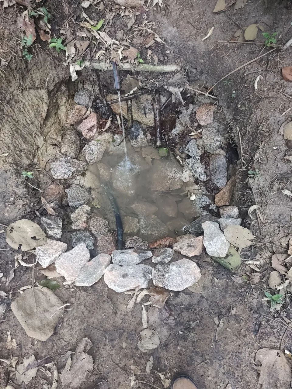 Terreno com mina dágua  - Foto 3