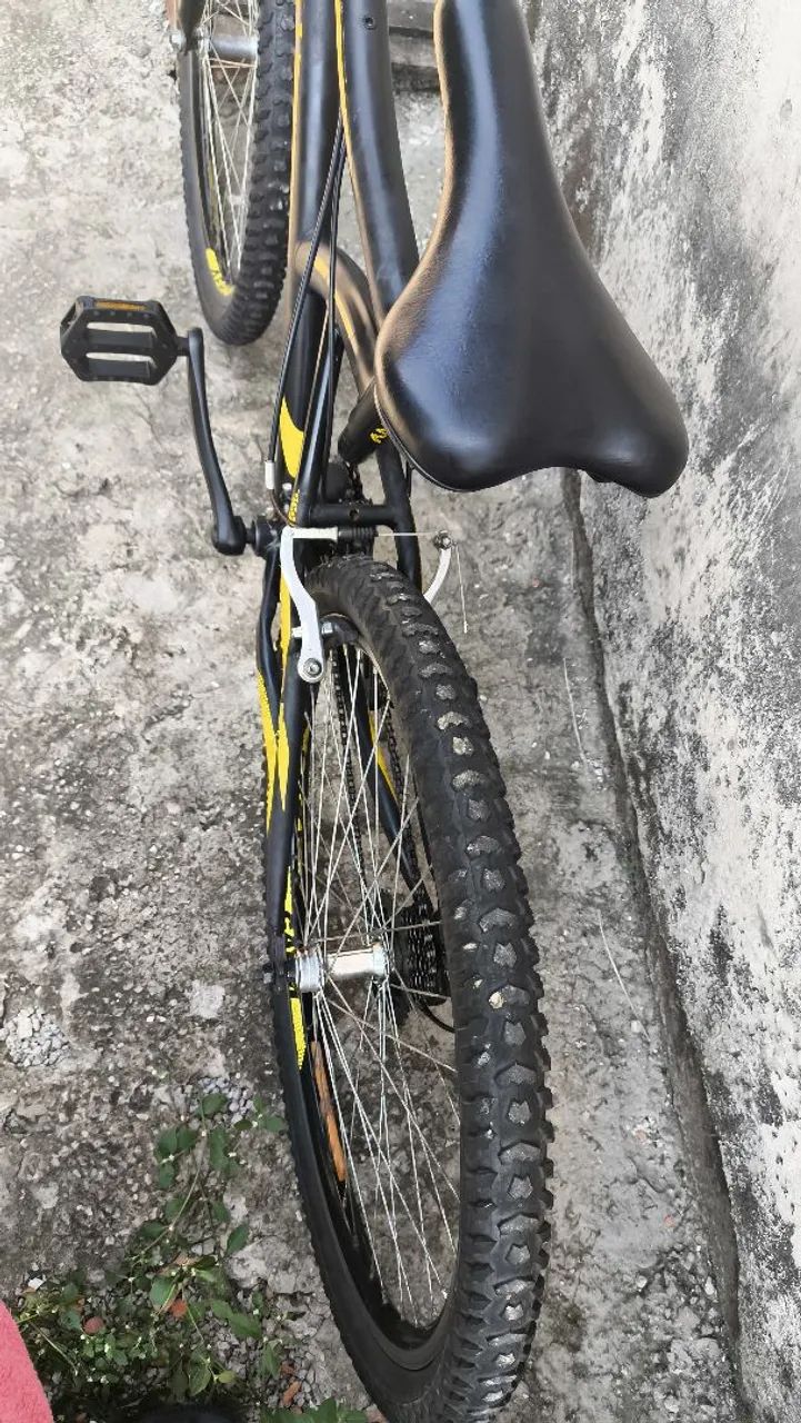 VENDO BICICLETA ANDES CALOI  - Foto 4