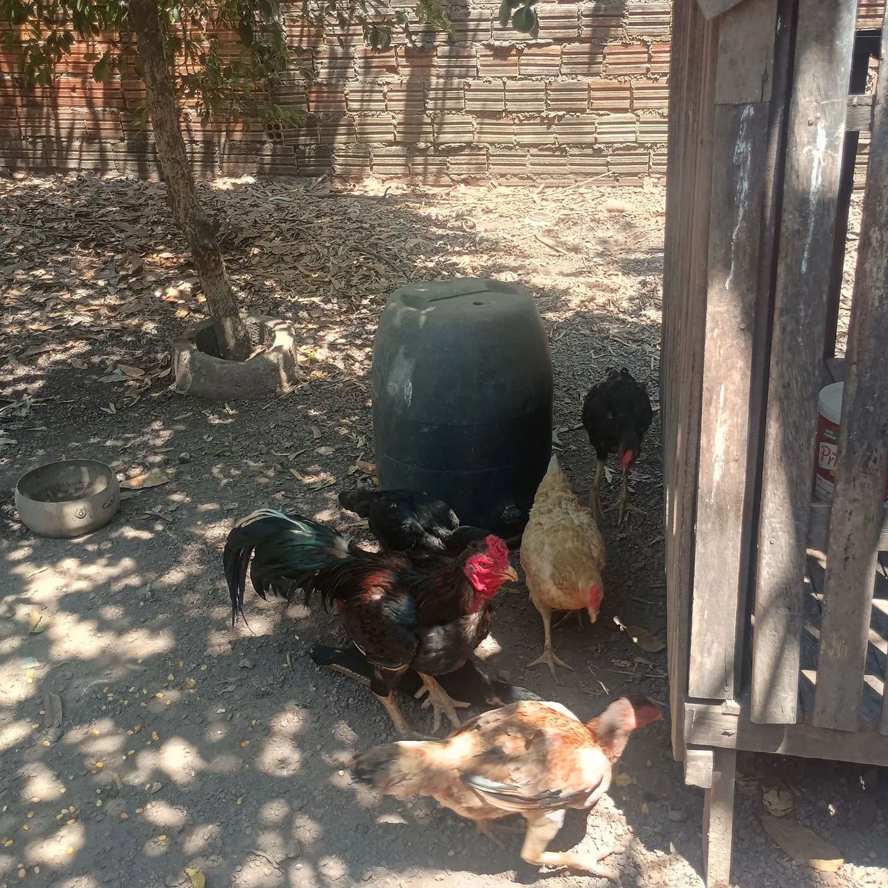 Vende-se  - Foto 4