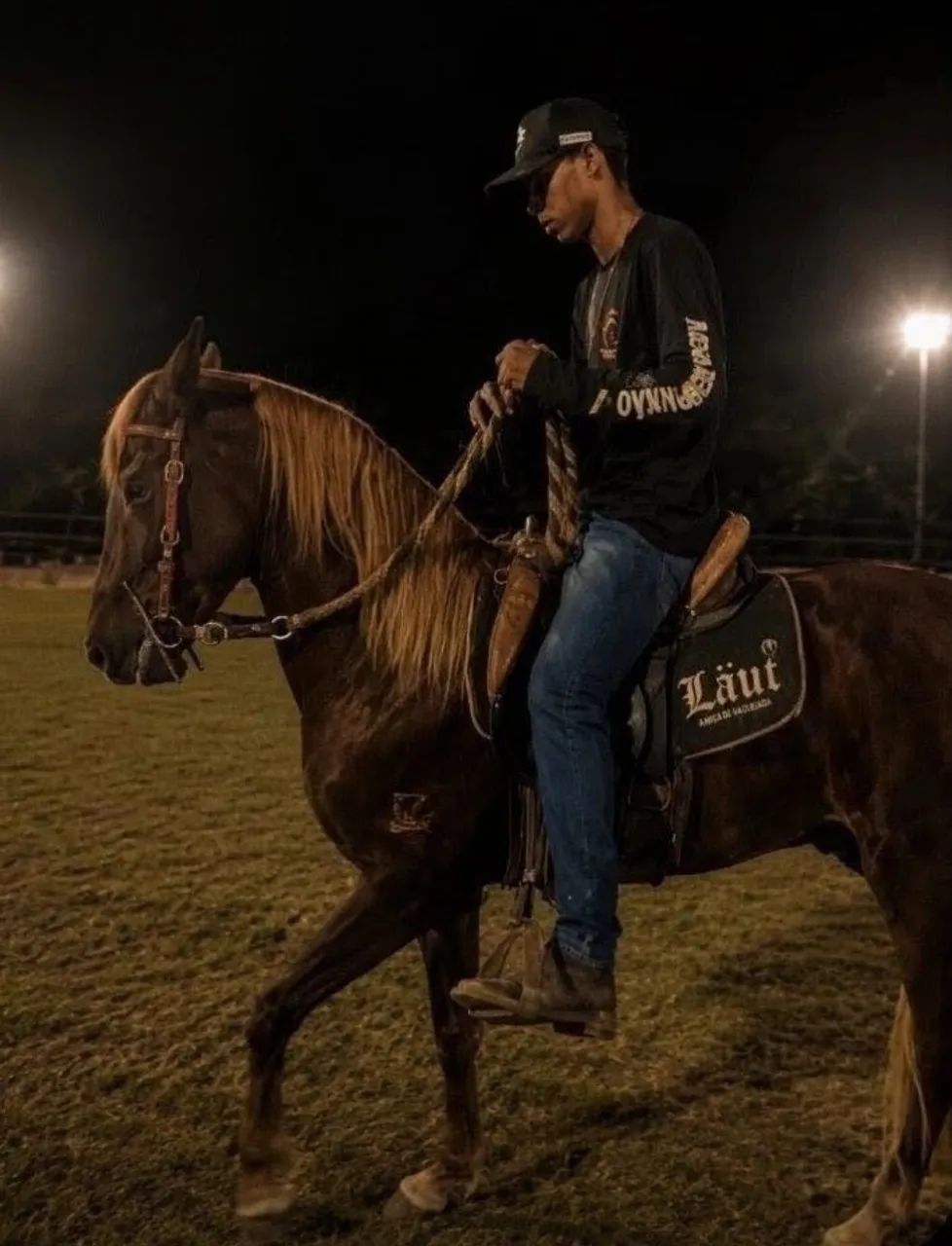 Cavalo potro - Foto 3