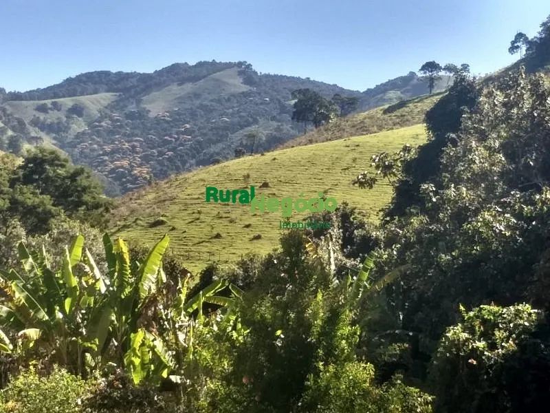 CHÁCARA FORMADA COM RIBEIRÃO EM PASSA-QUATRO - MG - Foto 3