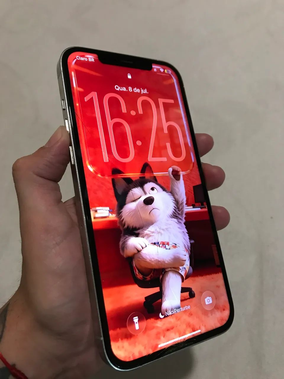 iPhone 12 Pro Max 256GB 