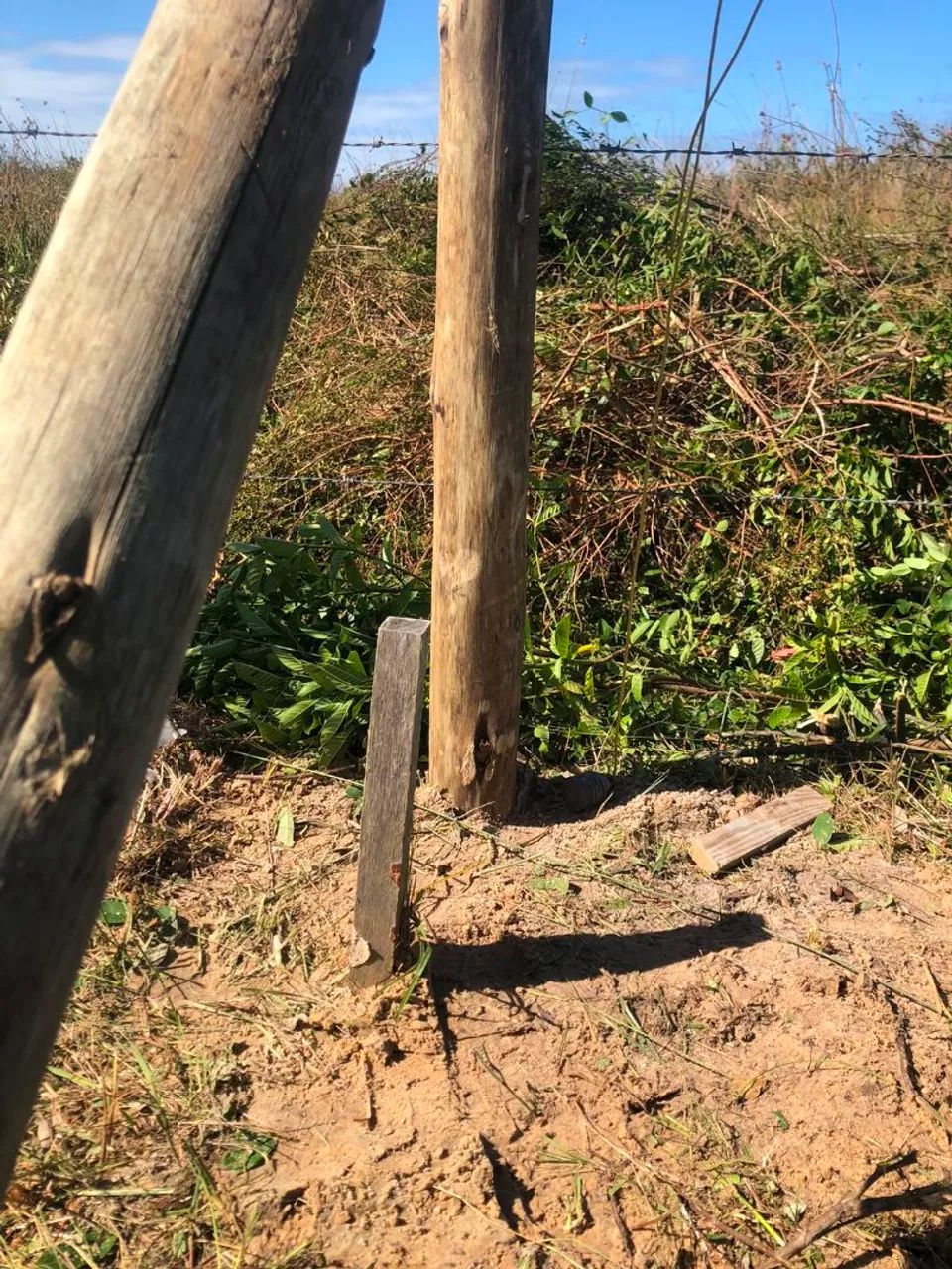 Terreno em Laguna - Foto 3