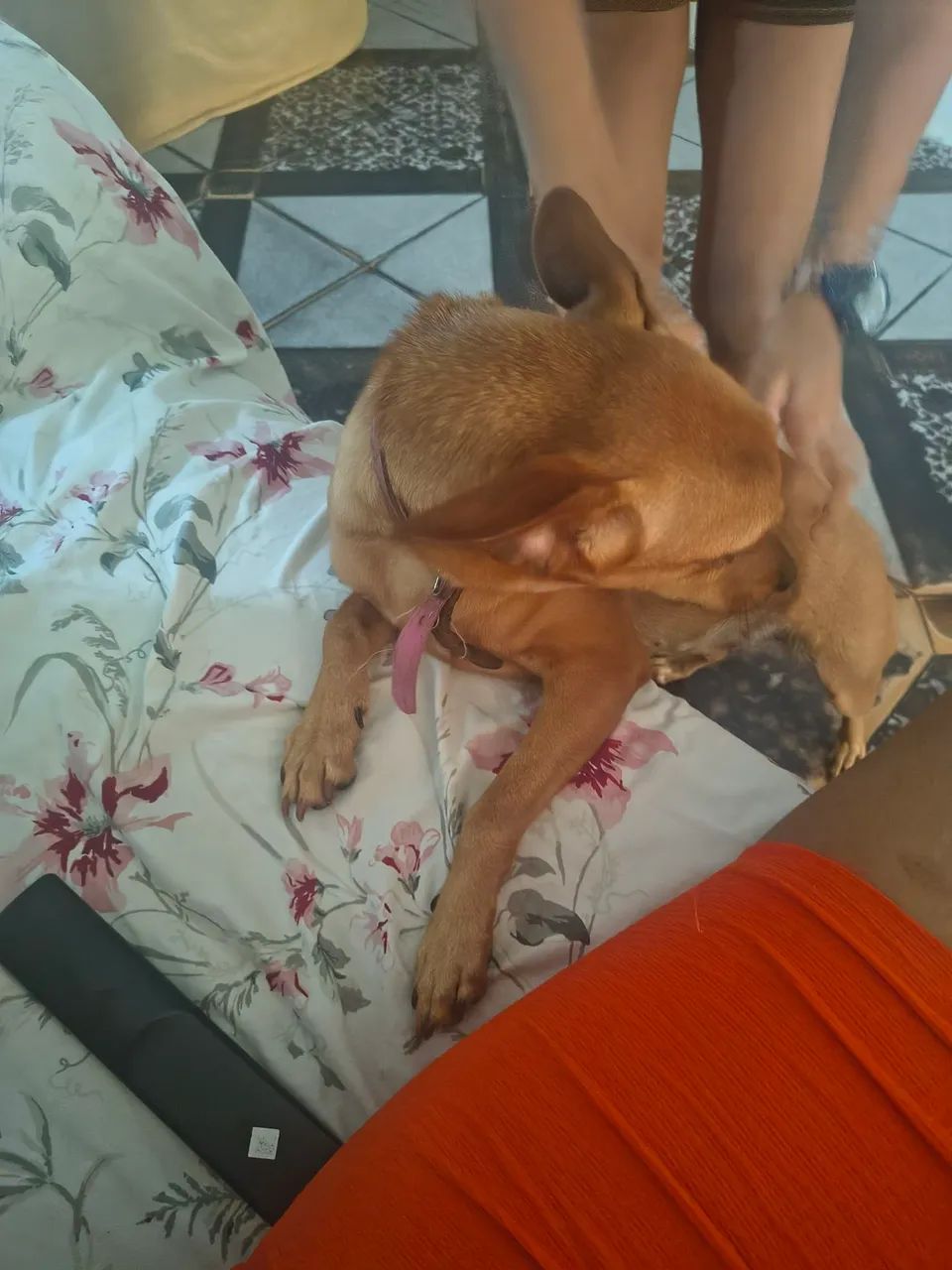Doação  - Foto 2