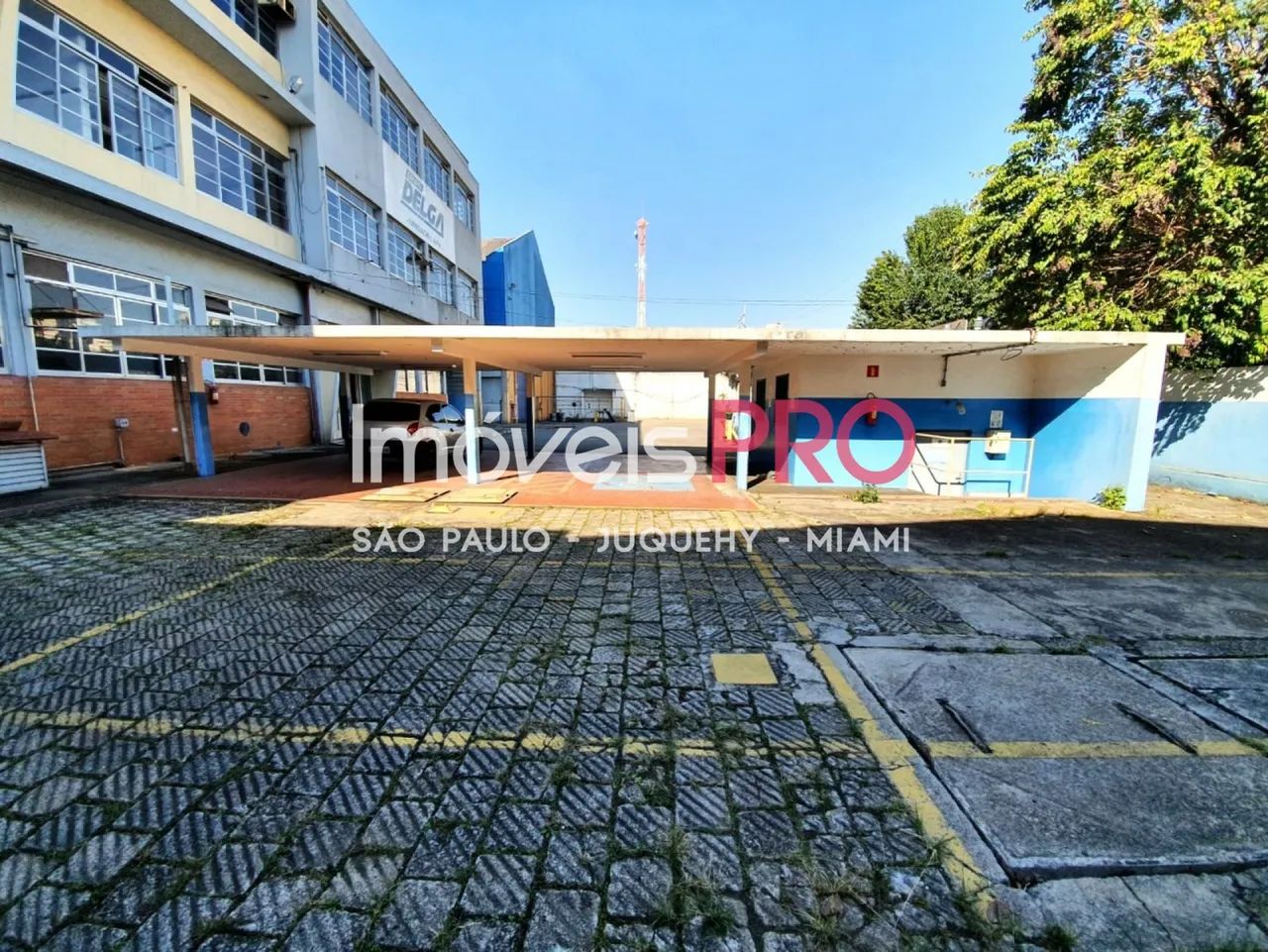 Galpão, Lapa de Baixo - São Paulo - Foto 3