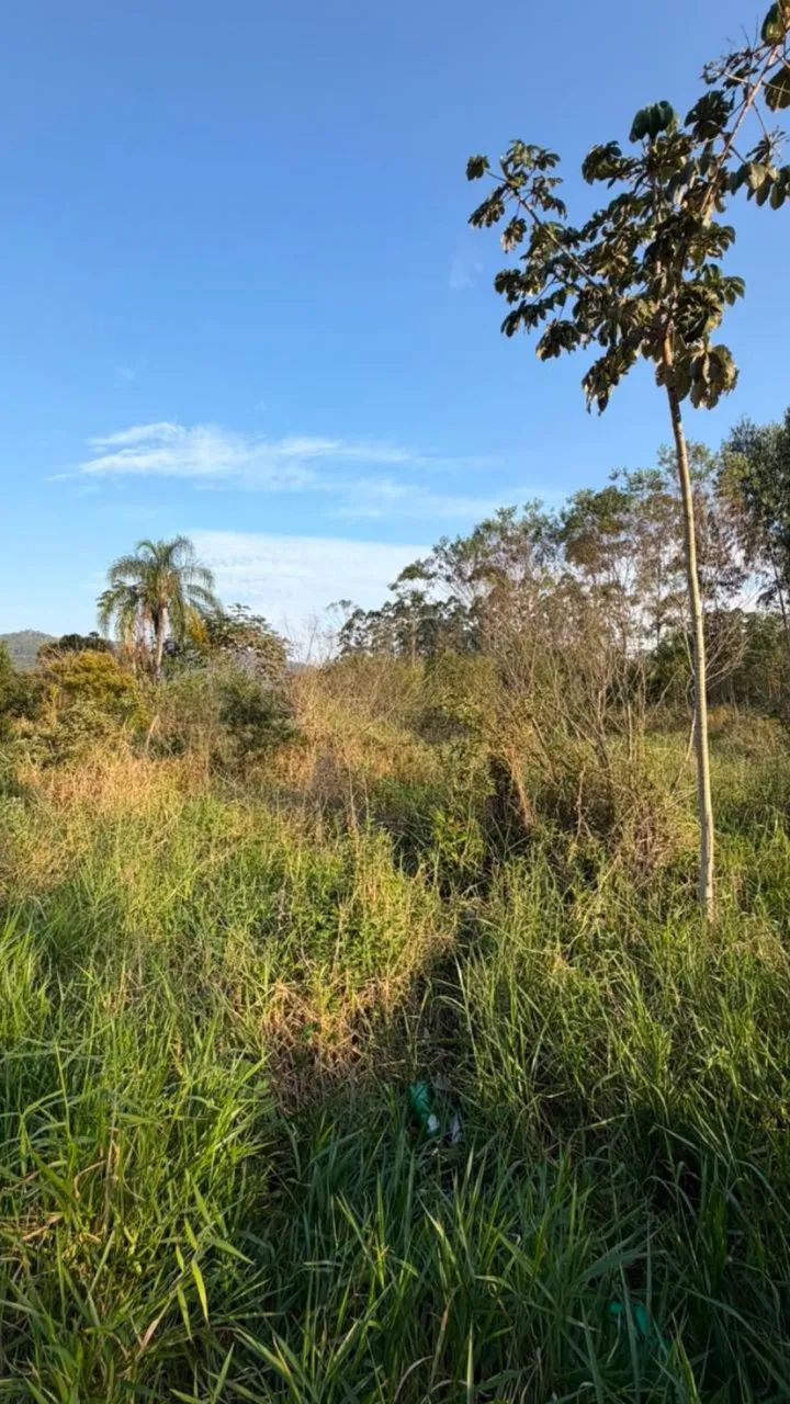 Verde - Foto 2