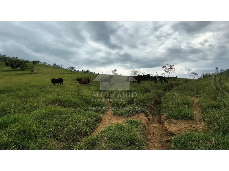 Sítio a venda - Macuco, Taubate - Foto 2