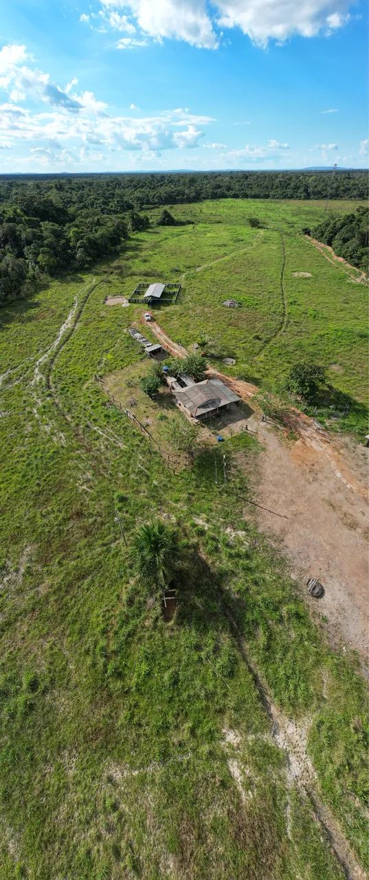 FAZENDA A VENDA 309 HECTARES  - Foto 3