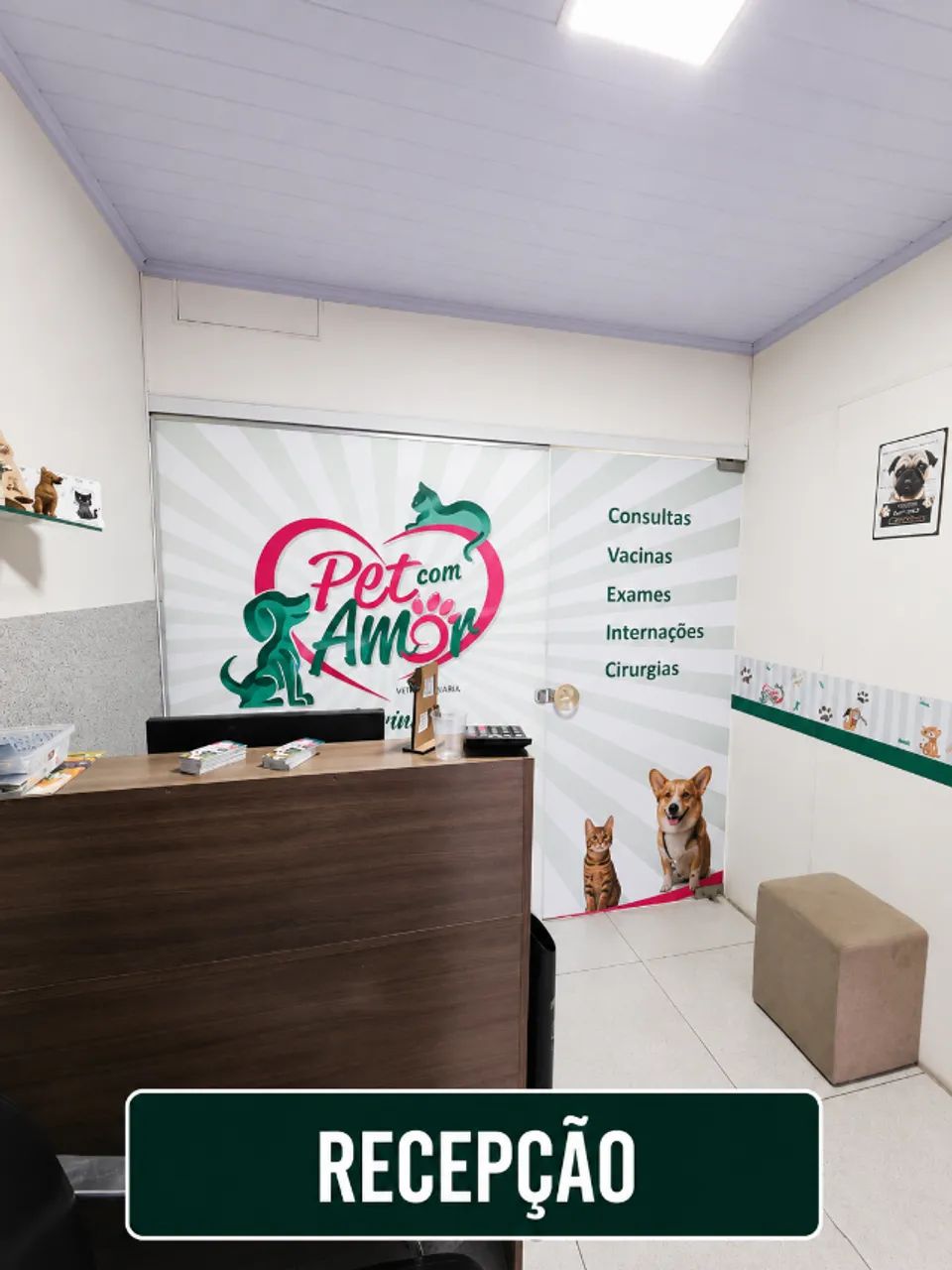 CLÍNICA VETERINÁRIA NO GUARÁ 2 - Foto 6
