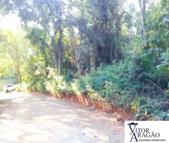 Terreno Jardim Samambaia Sao Paulo/SP - Foto 4