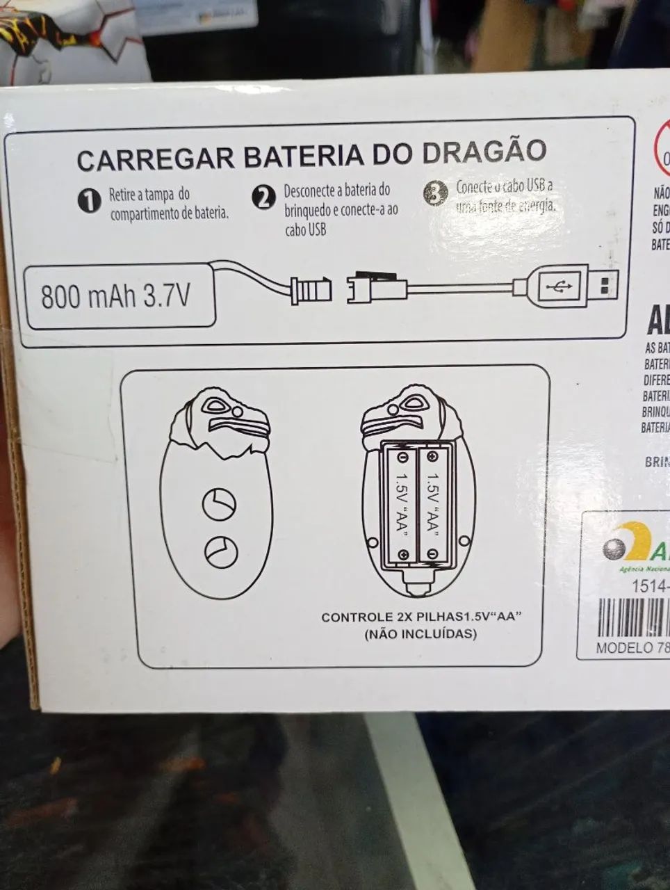 Dragão de Gelo - Foto 5