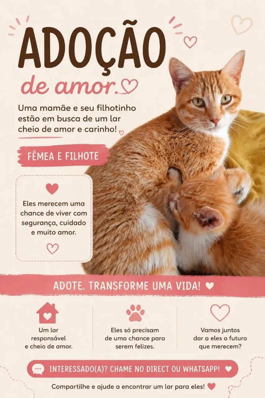 Doa-se gatinhos