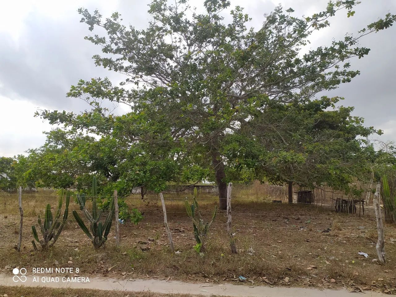 Terreno ótimo 
