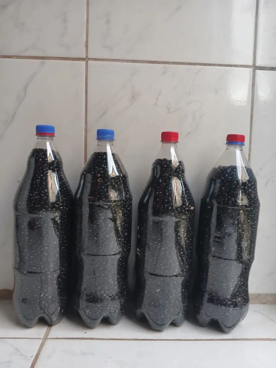 Vende se feijão preto da roça 