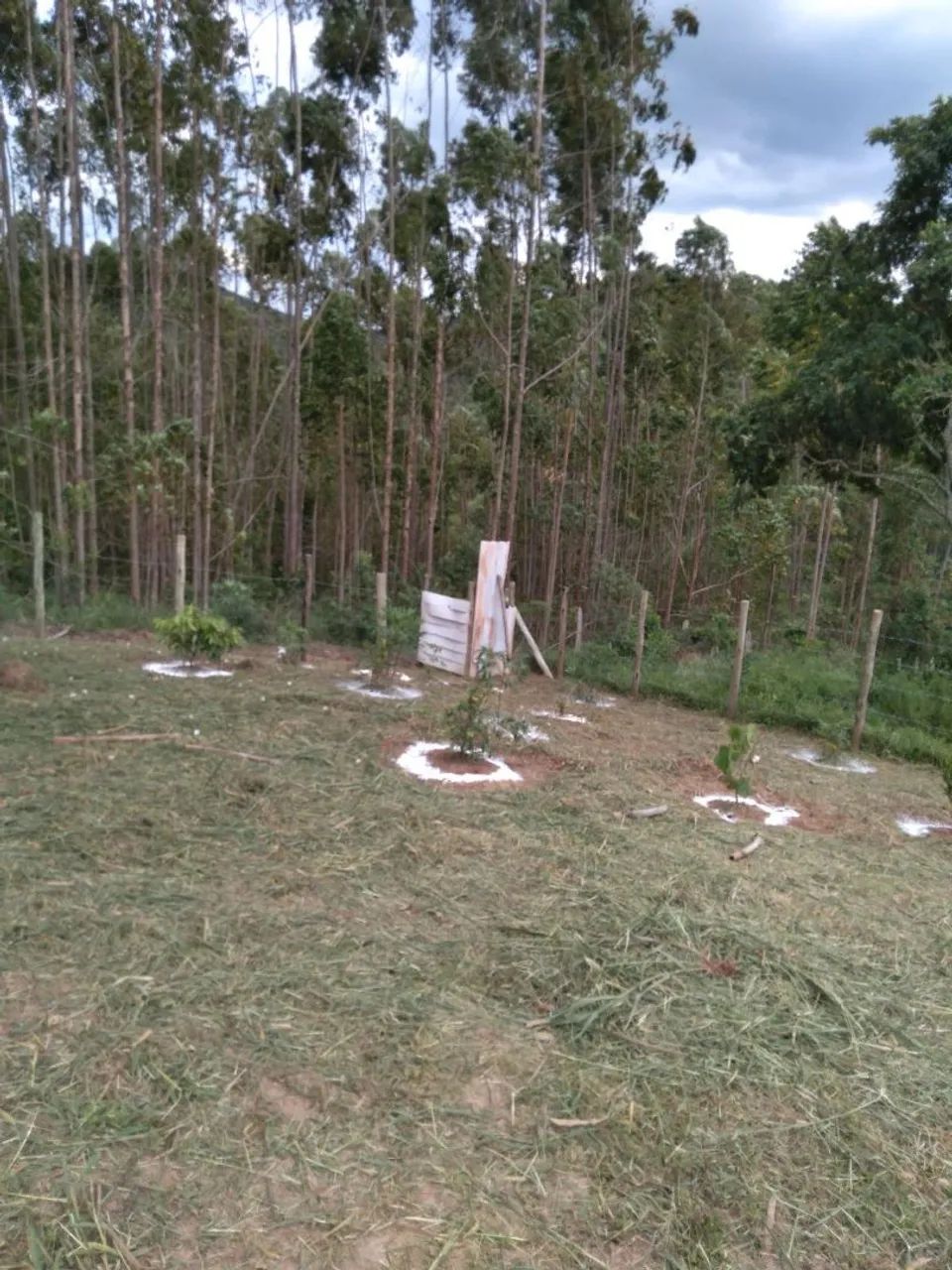 Chácara no Samambaia 1000mts - Foto 10