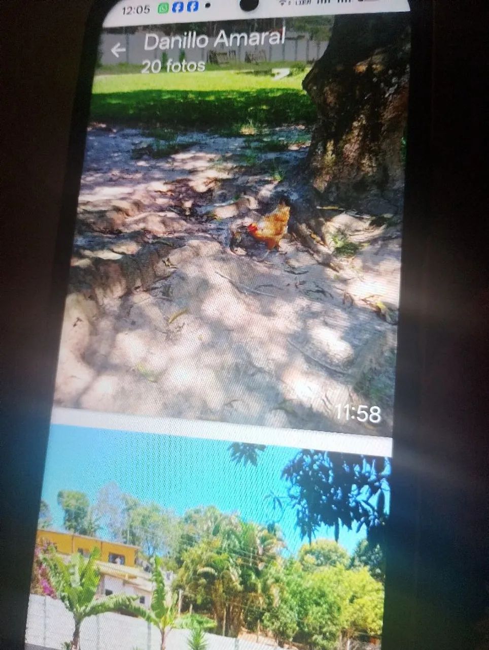 Vendo uma chácara com uma casa ? - Foto 3