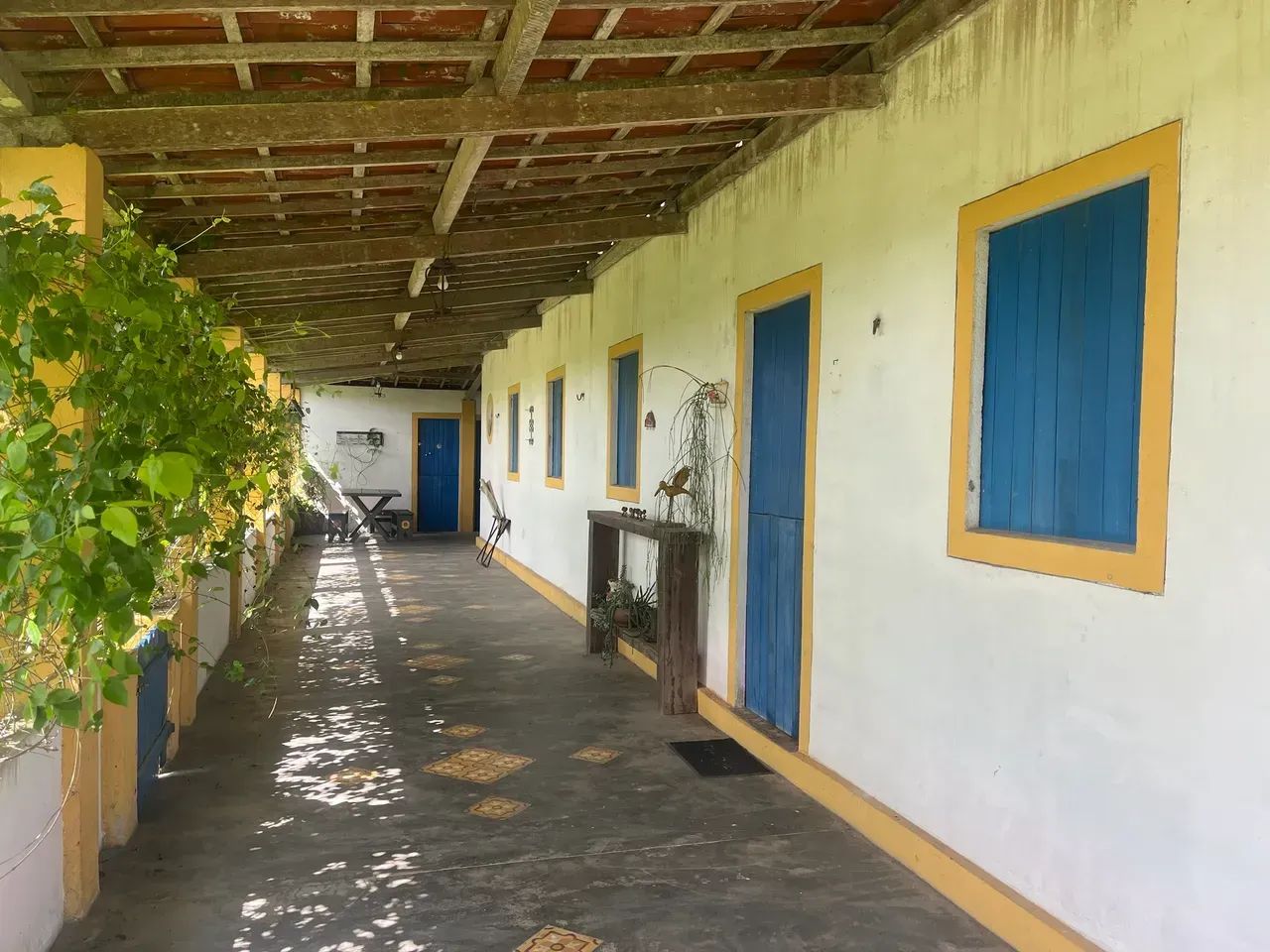 Sitio Puxinanã - Foto 3