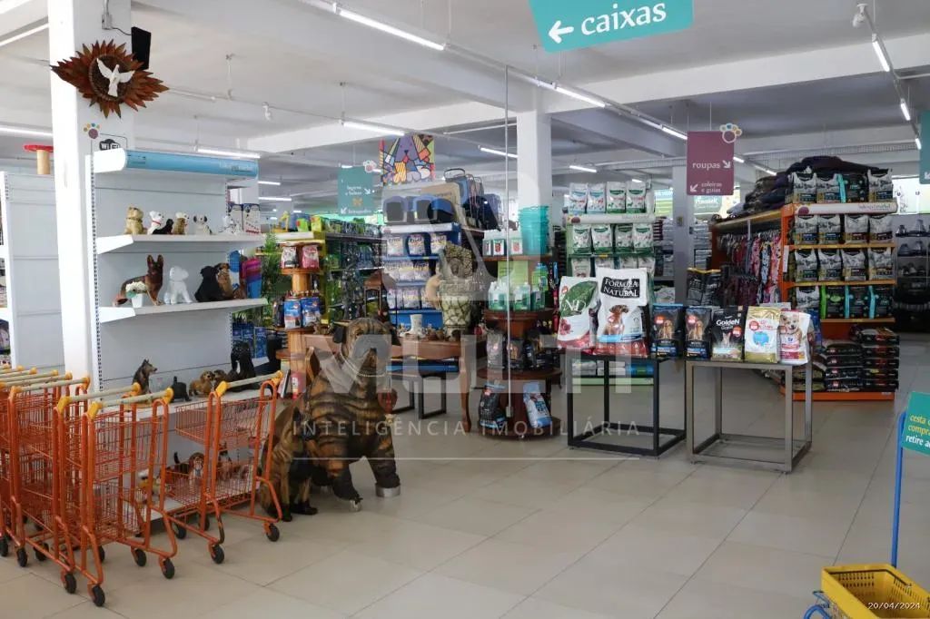 Loja - OSVALDO REZENDE - Foto 2