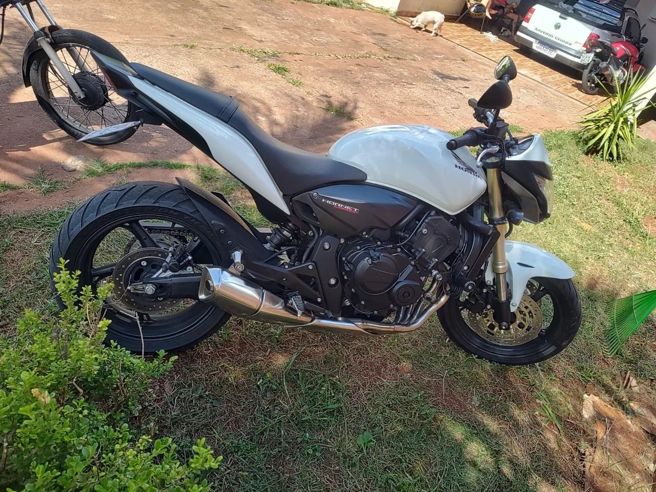 Hornet 2013