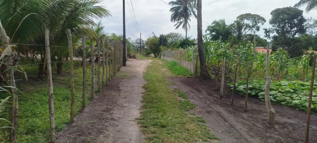 Terreno grande e excelente para sítio 