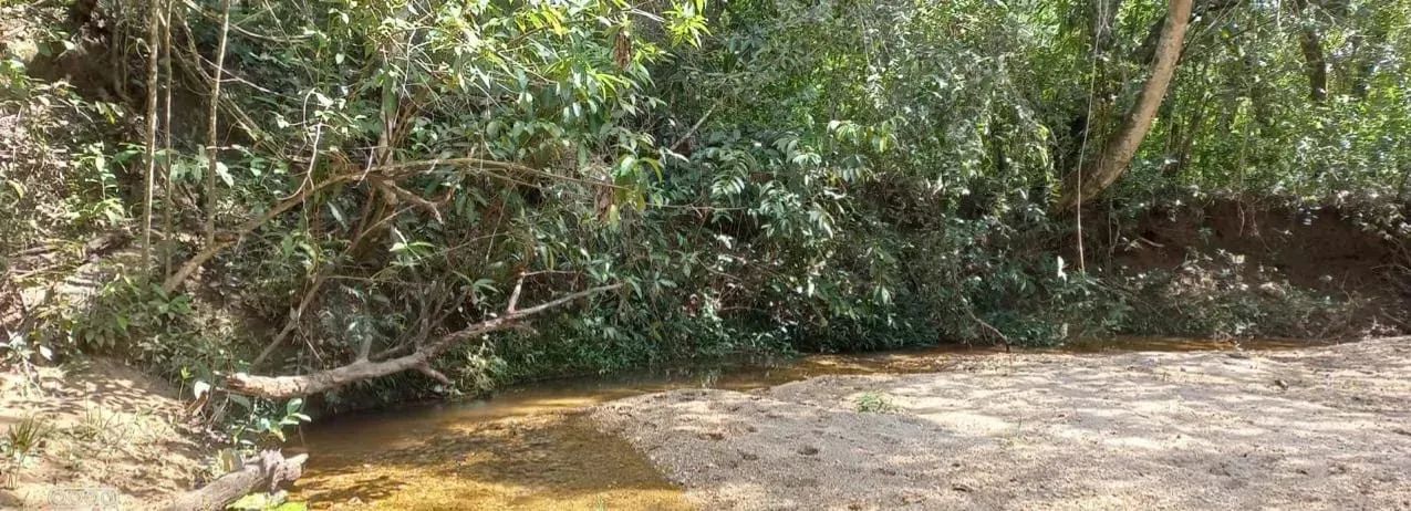 Fazenda a venda entre Catalão e Ipameri - Goiás!!! - Foto 4