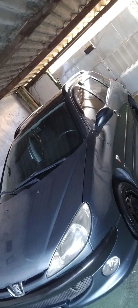 Peugeot 206 206 SW Presence 1.6/1.6 Flex 16V 5p 2007