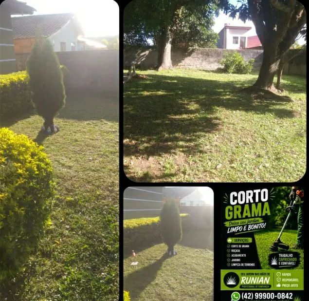 Grama , roçada, jardinagem 