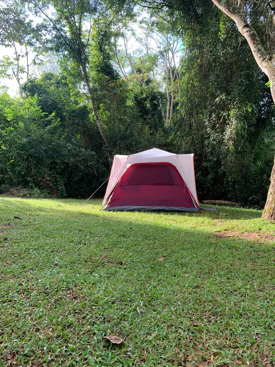 Barraca Coleman Skylodge 6