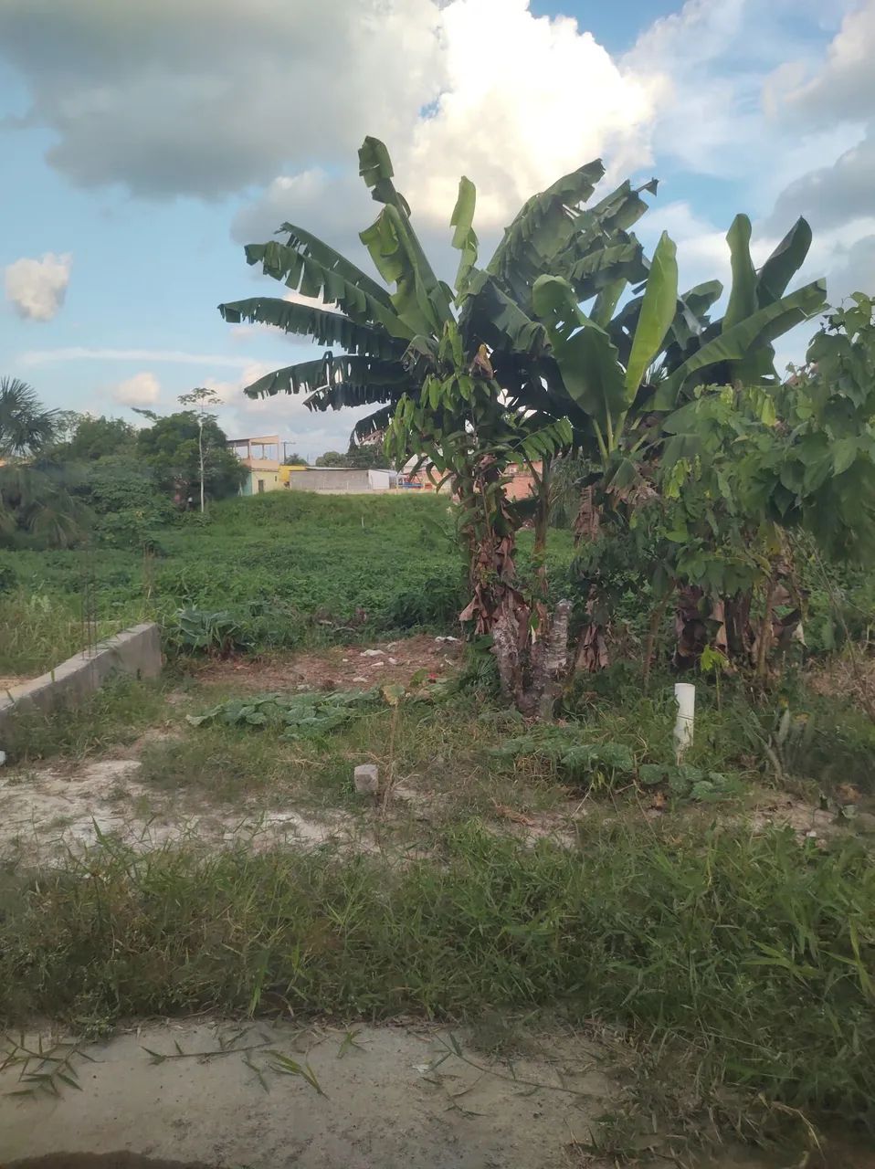 Vendo ou troco terreno  - Foto 3