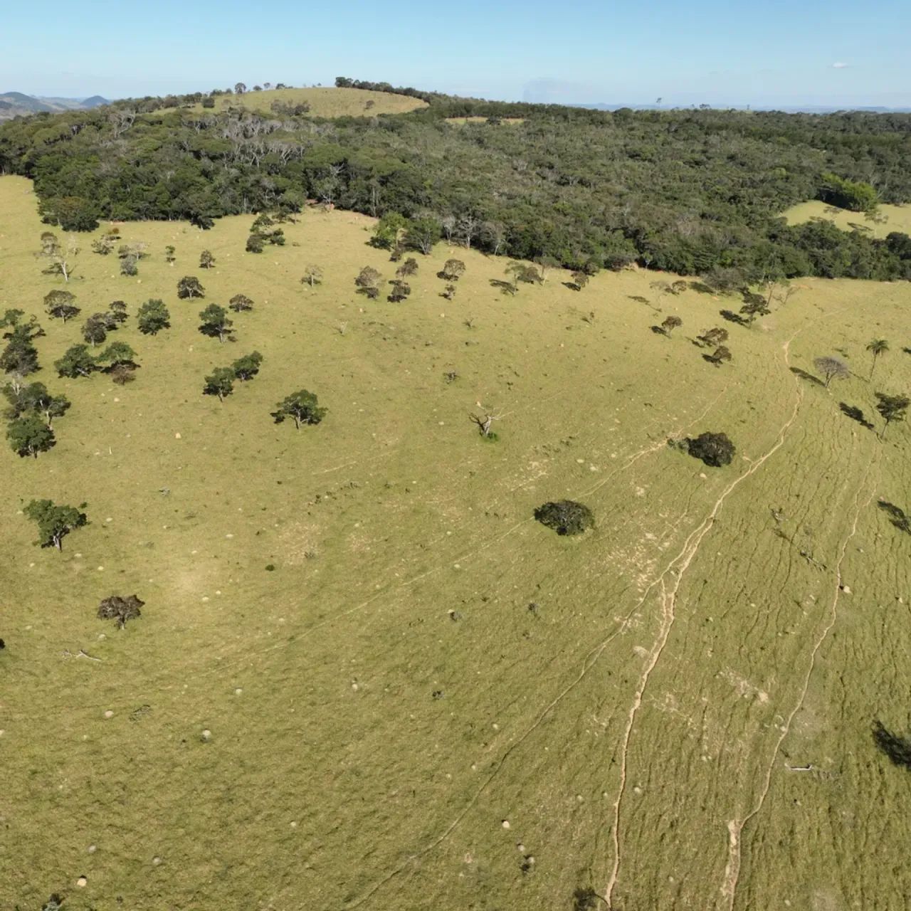 Fazenda Lagoa Privativa - Foto 5