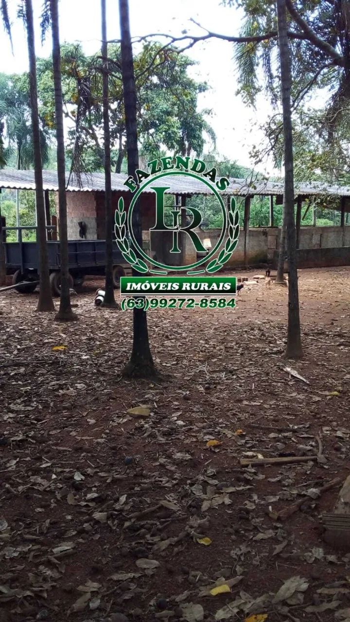 Fazenda 52 Alqueires Dupla Aptidão Região de Luzimangues - Foto 3
