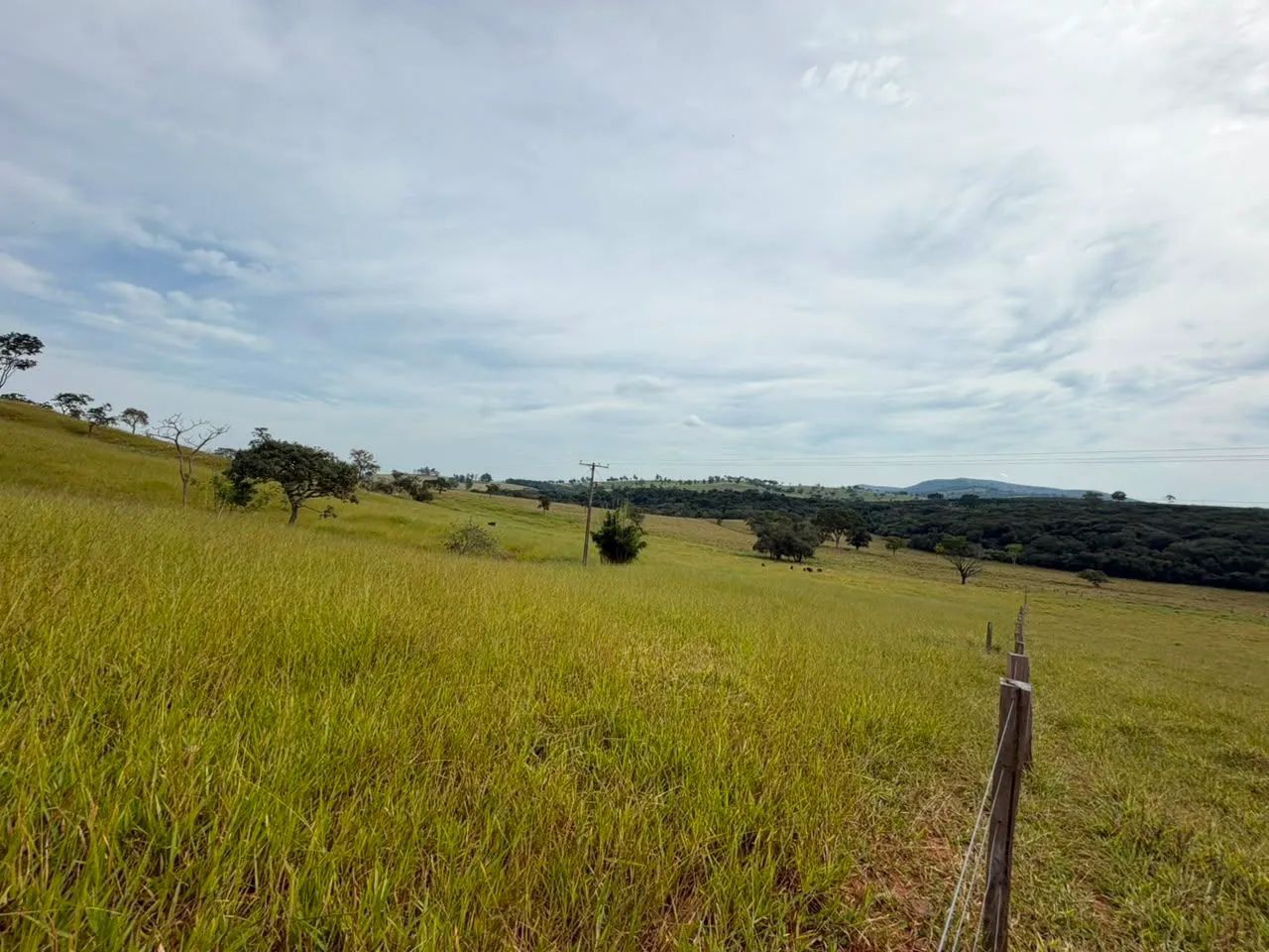 Fazedinha módulo rural  - Foto 4