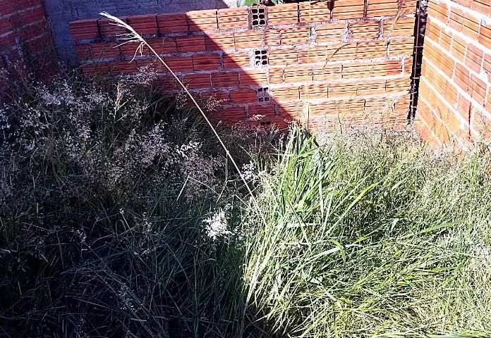Terreno há venda - Foto 4