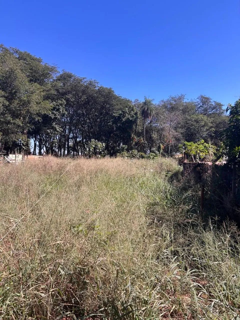 Foto - São José do Rio Preto - Residencial Ana Célia
