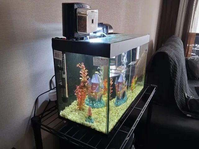 Aquario Completo (30 Litros) - Foto 3