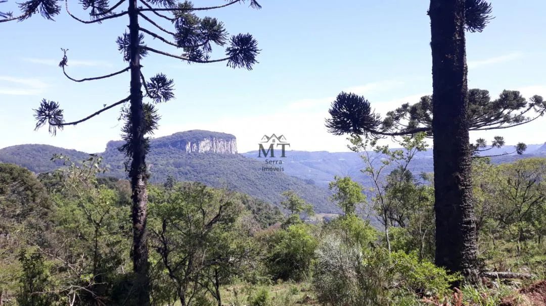 Área de terra a venda em Nova Petropolis.RS Ref.:20 - Foto 5