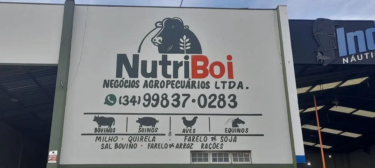 Pintor de Letras Manual . TINTAS E PICEIS . 34 99215.3479  - Foto 5